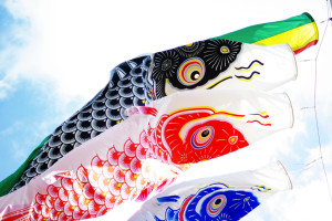 Koinobori_02